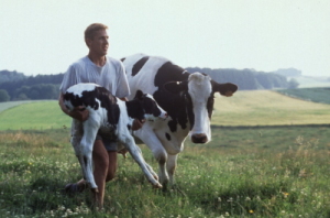 EU�̗��_��