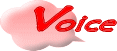 voice