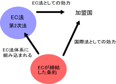 EC�������������̌���