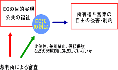 �i�@����