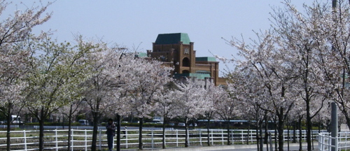 ���i�{�فj