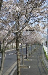 ���i�Z��O�j