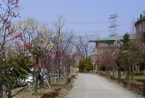 �~�̃����j���O����[�h